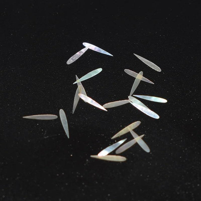 Colorful Natural Abalone Shell Fish Tail Pieces - 10Pcs Mother of Pearl for Crafting and Guitar Inlays