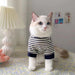 Cozy Cat & Pup Striped Winter Vest