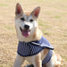 Stylish Navy Striped Dog Harness and Leash Set - Elegant Pet Outfit