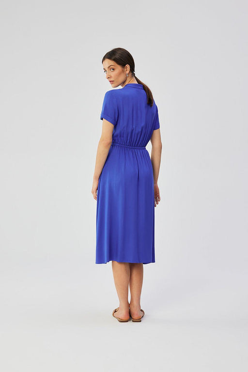 Chic Polish Viscose Belted Day Dress