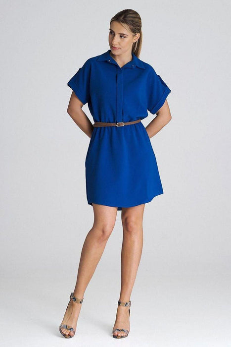 Chic Collared Daydress