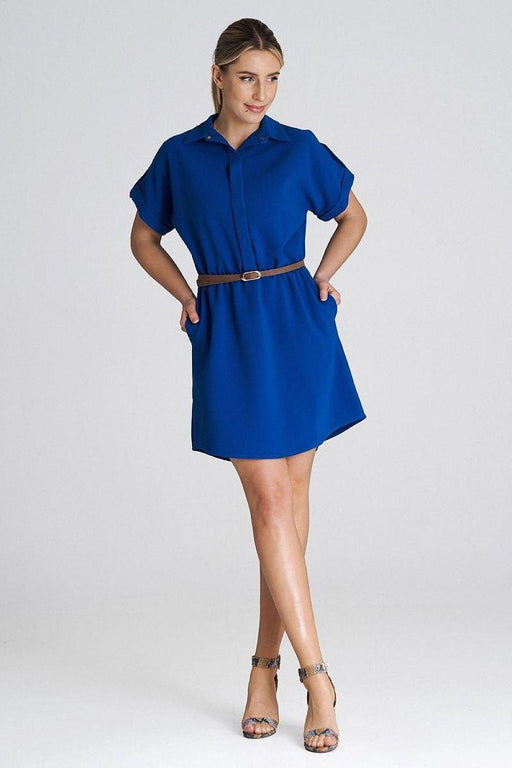 Chic Collared Daydress