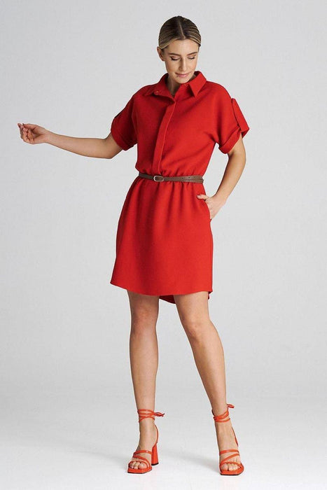 Chic Collared Daydress