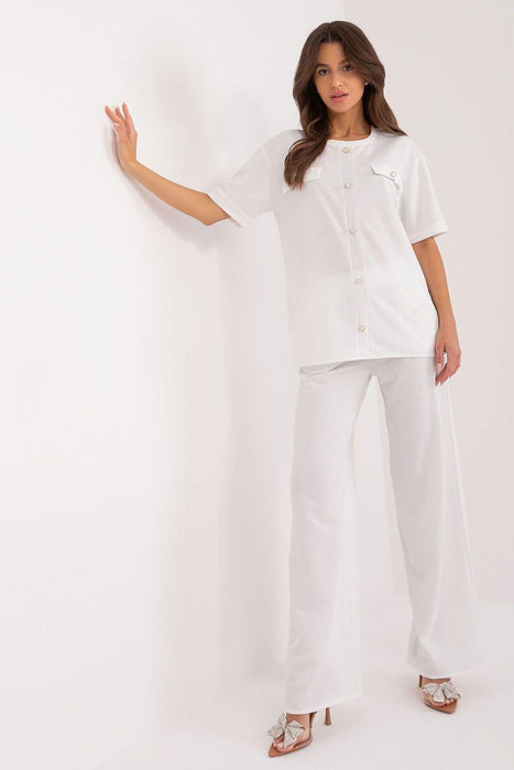 Sophisticated Blouse and Trousers Set