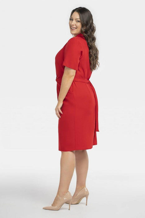 Chic Plus Size Kyoto Office Dress by Karko