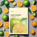 Vitamin C Radiance Boosting Green Tangerine Facial Masks - Pack of 10