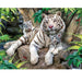 Majestic White Tiger 1000-Piece Puzzle Experience for Hours of Fun