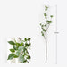 Lifelike Spring Oasis Artificial Greenery Branches - Available in 39.4" and 47.2" Lengths