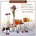 Stainless Steel Elegant Dessert and Fruit Display Set - Perfect for Weddings and Special Occasions