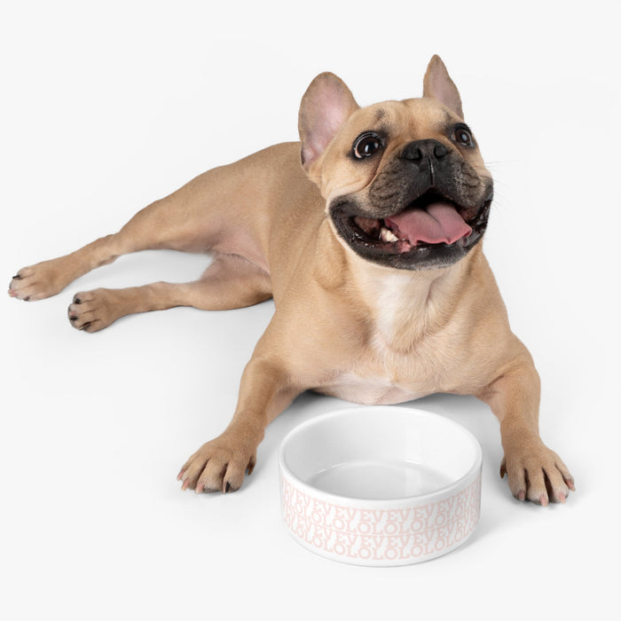 Elegant Handcrafted Ceramic Pet Bowl for Stylish Pet Parents