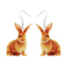 Enchanting Animal Delights: Playful Acrylic Earrings Set for Women