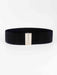 Chic Elastic Belt with Sleek Alloy Buckle - A Stylish Addition for Any Ensemble