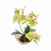 Elegant Faux Butterfly Orchid Bonsai - Stunning Home Decorative Accent