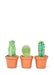 Succulent Serenity: Mini Cactus Trio for Compact Living