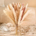 Elegant Natural Dried Pampa Grass Bouquet - Versatile Home and Wedding Decor