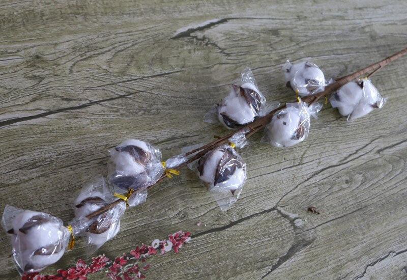 Charming Dried Cotton Flower Arrangement - A Touch of Nature for Home and Weddings