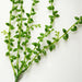 Green Faux Succulent Vine with Cascading Beauty