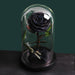 Everlasting Love: Luxurious Preserved Rose in Glass Cloche - Genuine Bloom, Enduring Grace, Timeless Sophistication
