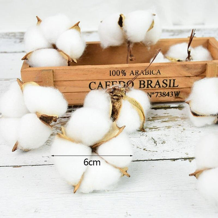 Charming White Cotton Dried Flower Bundle for Weddings and Home Styling