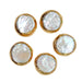 5-Piece Bundle of Luxurious White Coin Pearl Beads for Jewelry Crafting