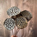 Lotus Seedpod Decorative Bouquet with Elegant Wire Stems