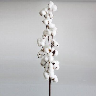 Charming Dried Cotton Flower Arrangement - A Touch of Nature for Home and Weddings