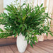 Verdant Elegance: Luxe Artificial Jungle Floral Display