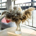 Timeless Grace: Luxurious Preserved Reed Bloom Arrangement