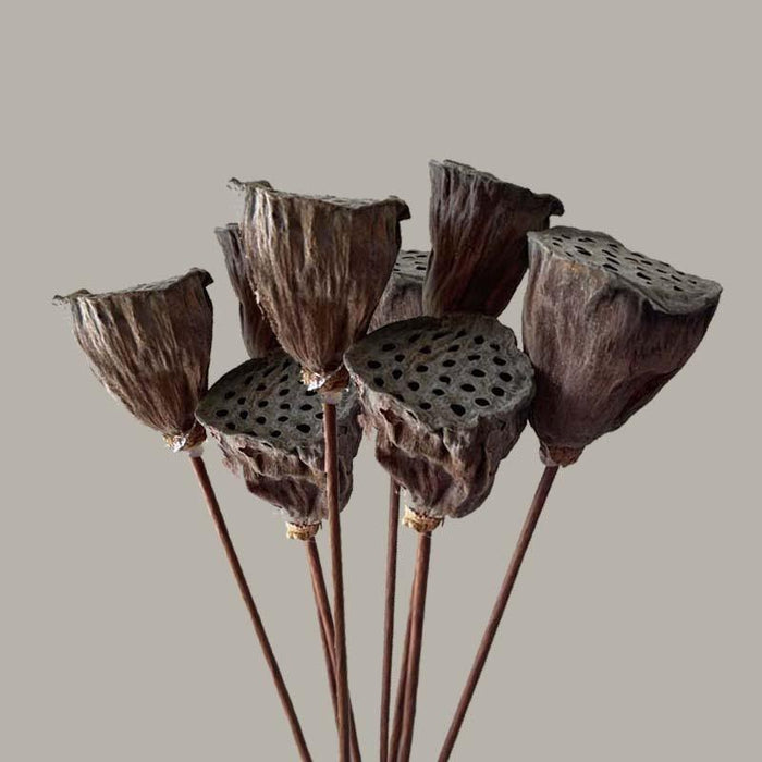 Lotus Seedpod Decorative Bouquet with Elegant Wire Stems