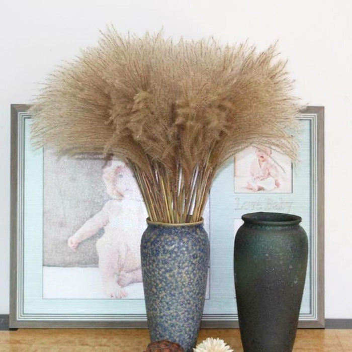 Timeless Grace: Luxurious Preserved Reed Bloom Arrangement