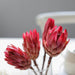 Elegant Natural Dried Gerbera Daisy Branch - Wedding & Home Decor Floral Arrangement