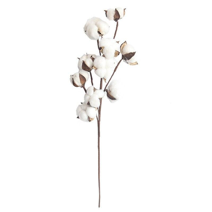 Charming Dried Cotton Flower Arrangement - A Touch of Nature for Home and Weddings