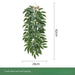 Botanical Elegance: Eucalyptus & Willow Leaf Rattan Wall Art