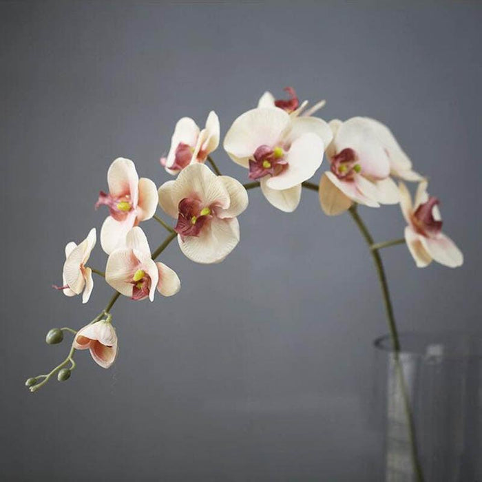 Elegant Silk Orchid Phalaenopsis Flower Bundle - 43.3" with 11 Heads & Size Variety