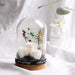 Timeless Elegance: Preserved Rose in Glass Dome on Wooden Stand