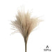 Timeless Grace: Luxurious Preserved Reed Bloom Arrangement