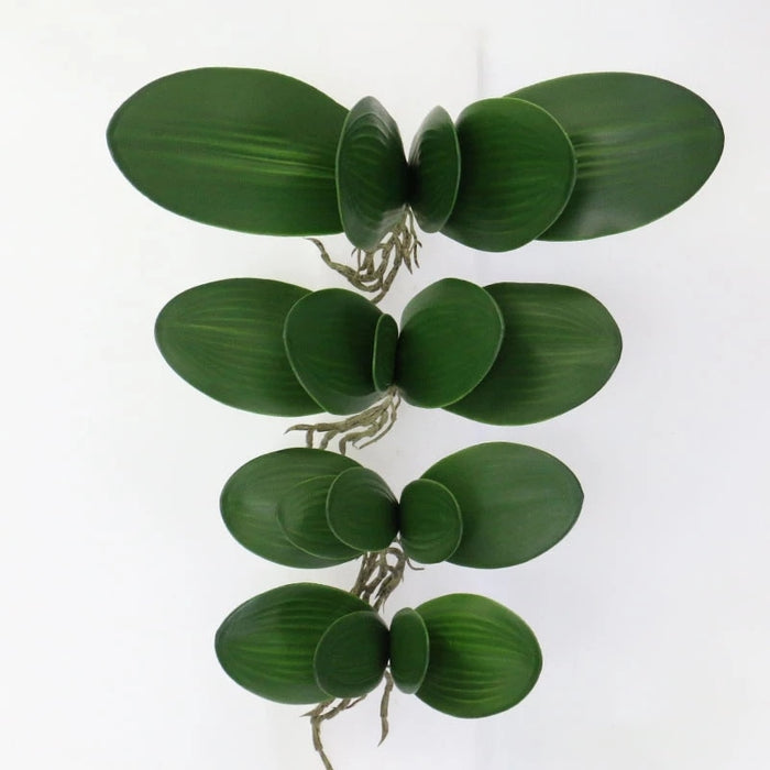 Elegant Orchid Phalaenopsis Potted Plant: Stylish Home Decoration Piece