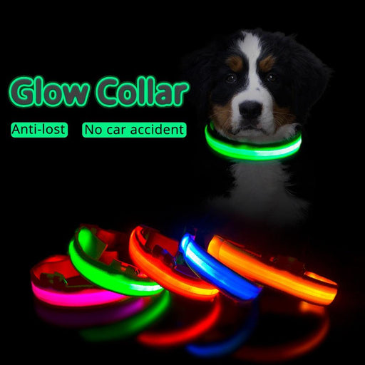 Illuminate & Protect: Rechargeable Waterproof LED Dog Collar for Enhanced Nighttime Safety