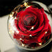 Eternal Radiance LED Rose Dome - Enchanting Preserved Flower with Illuminating LED Glow