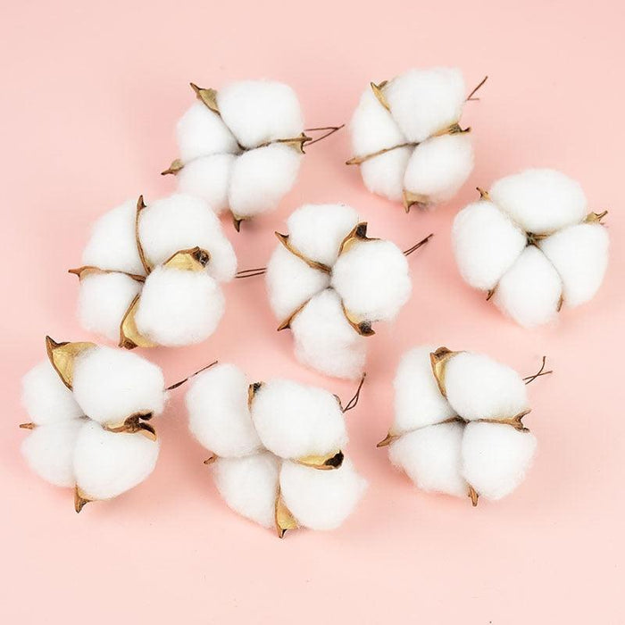 Charming White Cotton Dried Flower Bundle for Weddings and Home Styling