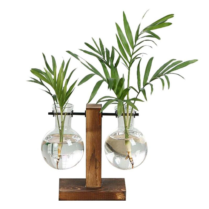 Vintage Glass Plant Vases with Wooden Stand - Chic Botanical Decor for Indoor Gardening