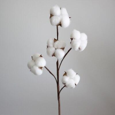 Charming Dried Cotton Flower Arrangement - A Touch of Nature for Home and Weddings