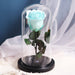 Everlasting Love: Luxurious Preserved Rose in Glass Cloche - Genuine Bloom, Enduring Grace, Timeless Sophistication