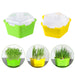 Fresh Sprouts Nursery Set with Unique Pentagonal Design and Complete Sprouting Tools