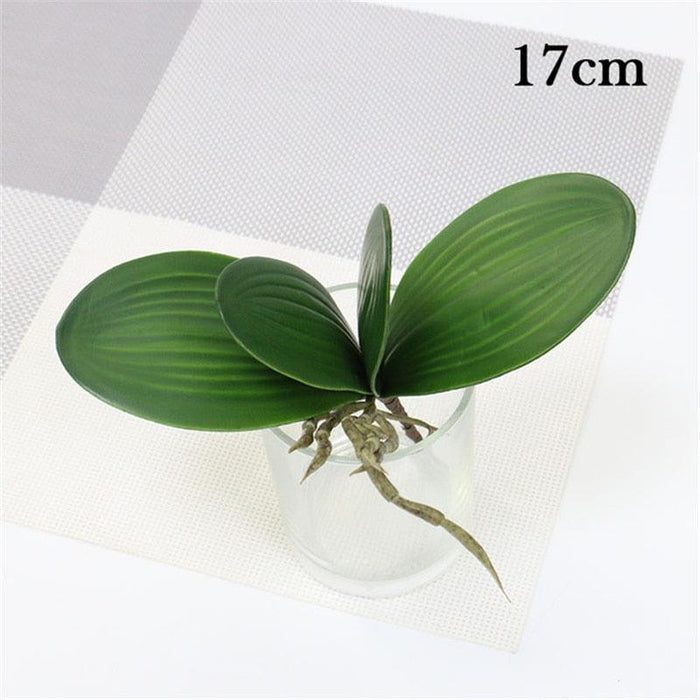 Elegant Orchid Phalaenopsis Potted Plant: Stylish Home Decoration Piece