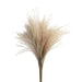 Timeless Grace: Luxurious Preserved Reed Bloom Arrangement