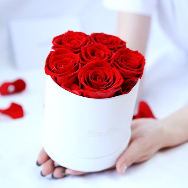 Elegant Preserved Red Rose Bouquet in Round Display Case - 12 Stems