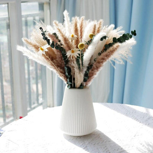 Natural Dried Rabbit Tail Pampas Grass Decorative Bundle - 80 Stems