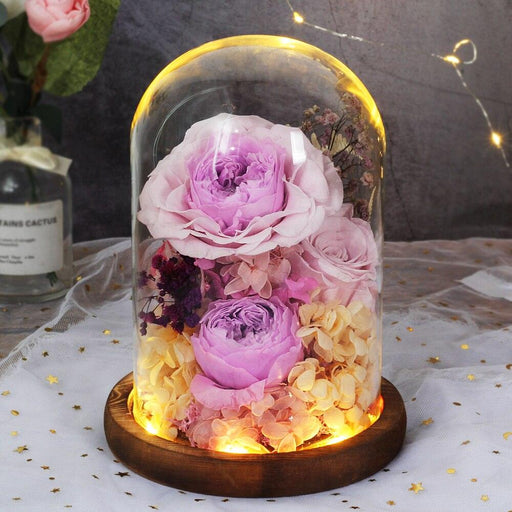 Eternal Rose - Captivating Beauty Encased in Glass Dome