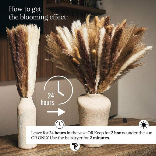 Chic Dried Pampas Grass and Reed Arrangement for Home and Wedding Decor